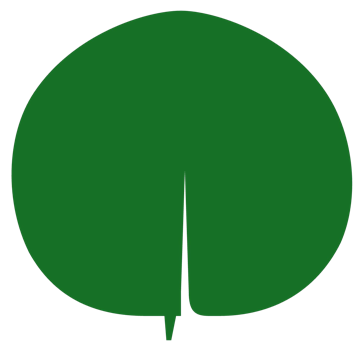 The redbud leaf from the ABODE logo